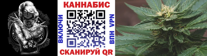Купить где Северобайкальск Бошки марихуана MAZAR